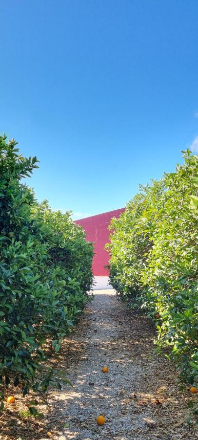 Quinta Dos I'S - Algarve Villa Ferrarias  Ngoại thất bức ảnh